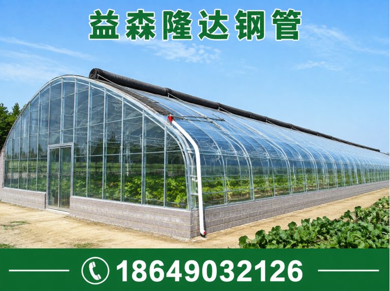西青区日光温室大棚,连栋温室大棚,单体大棚,塑料大棚,育苗大棚,养殖大棚展示图